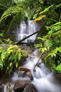 Foto: Big Island Visitors Bureau/Tyler Schmitt