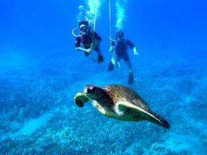 Foto: Florida Keys News Bureau