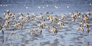 Foto: Nordseeheilbad Cuxhaven