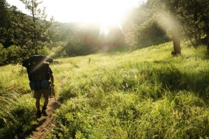 Wandern im Sonnenschein