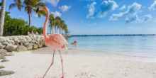 Einreise nach Aruba und Curacao nur per digitaler Einreisekarte