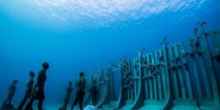 Foto: Jason deCaires Taylor/CACT Lanzarote