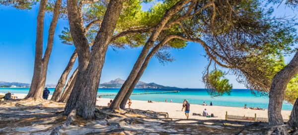 Wo es auf Mallorca 2024 teurer und günstiger wird