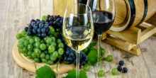 Weinwochen am Balaton noch bis zum 2. September
