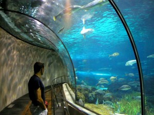 Aquarium