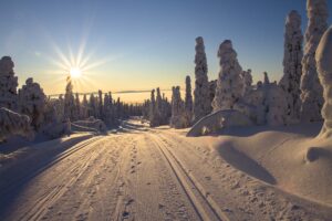 Lappland Schnee