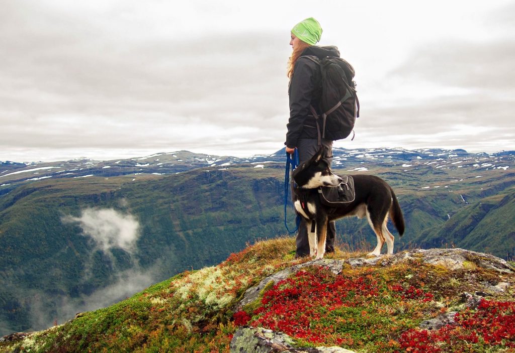 Norwegen im Herbst