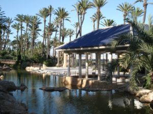 Palmeral Park, Alicante, Valencia Palmeral Park, Alicante, Valencia