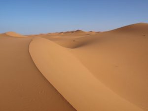 sahara-wueste