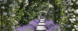 Im Garten von Schloss Egeskov Im Garten von Schloss Egeskov