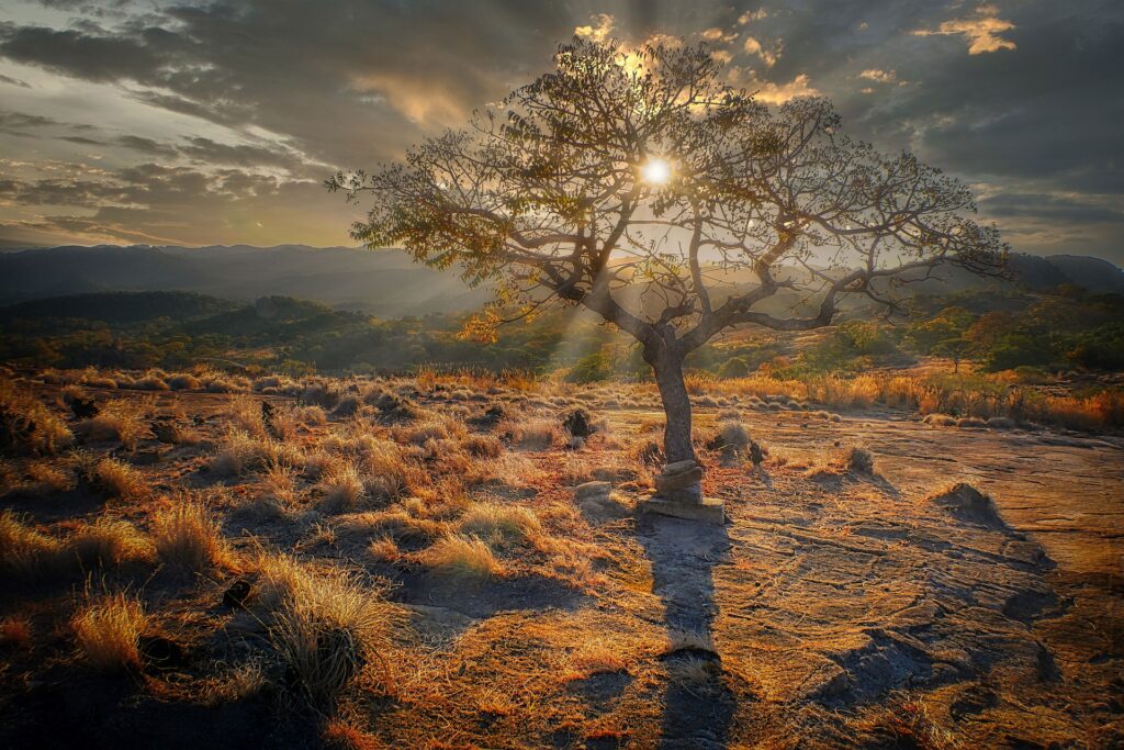 Simbabwe Natur
