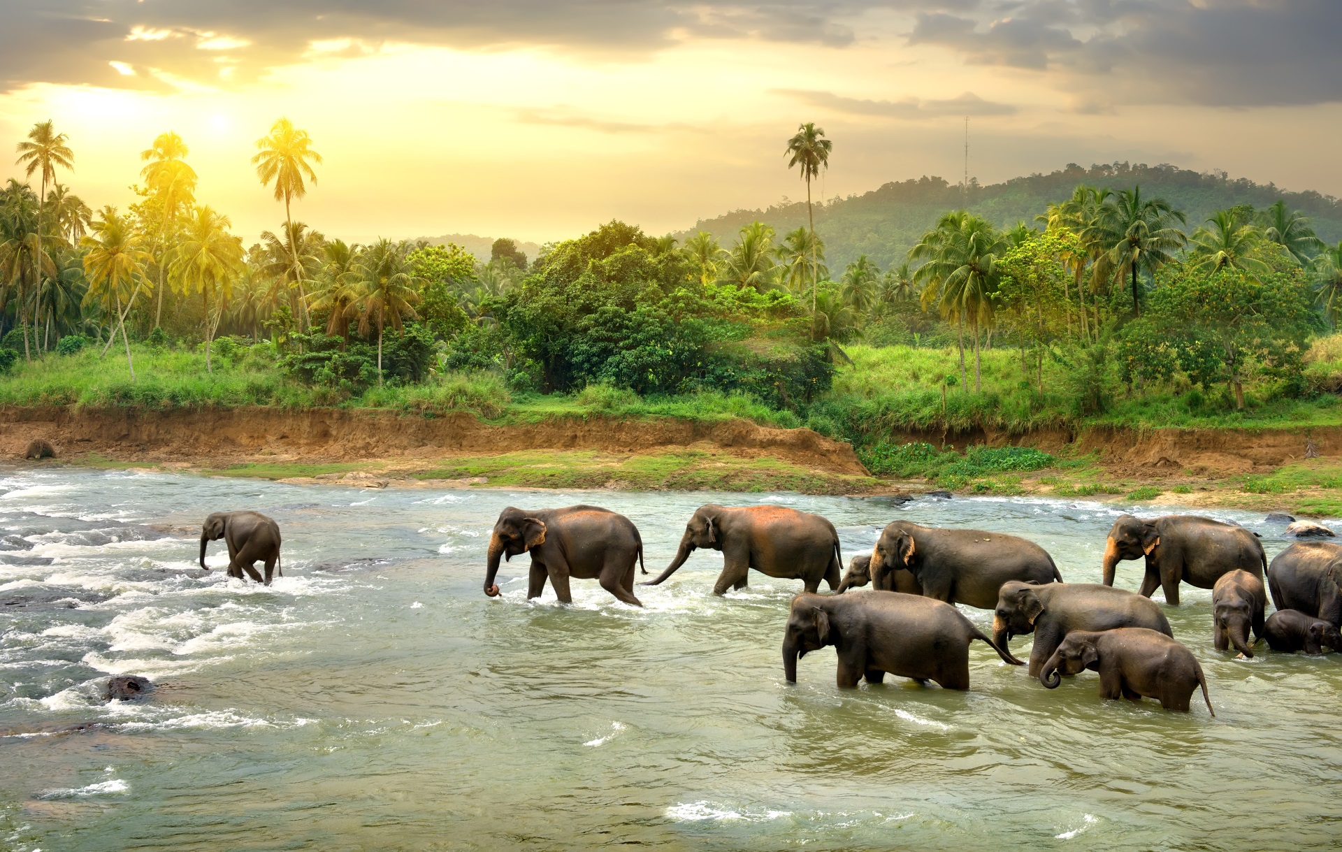 Sri Lanka Tourismus - Tourist Info und Reiseratgeber