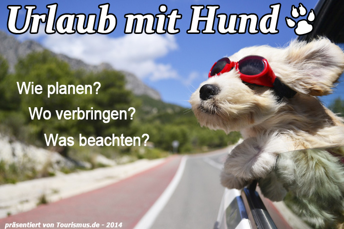 Urlaub mit Hund Urlaub mit Hund