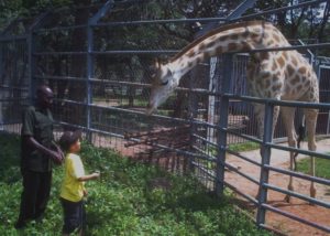 Zoo, Abuja, Nigeria