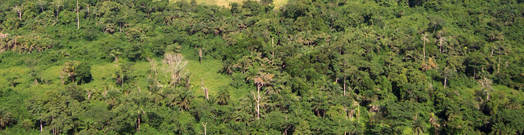Liberia