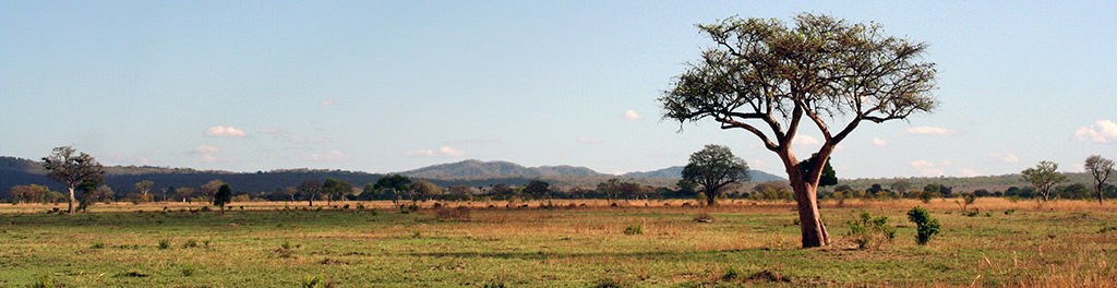 Afrika