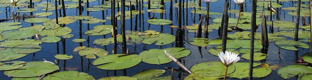 Botsuana