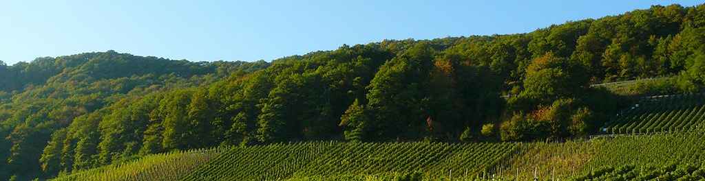 Rheinland-Pfalz